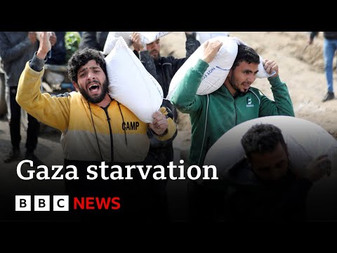 Almost a third of people in Gaza not eating for days, UN says | BBC News
