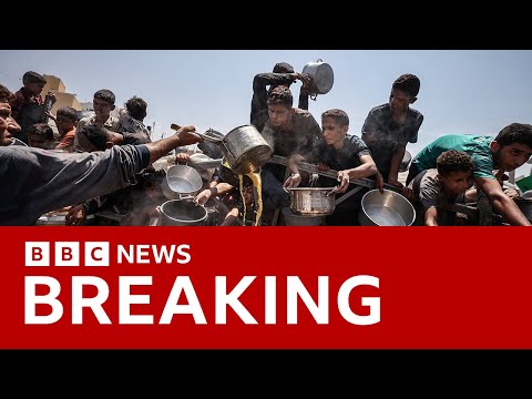 Famine ‘currently playing out’ in Gaza, UN-backed experts warn