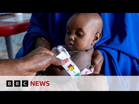 Aid cuts will push Nigerians into arms of Boko Haram militants, UN warns | BBC News