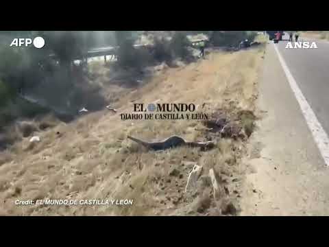Spagna, il luogo dell’incidente stradale in cui ha perso la vita Diogo Jota #ansa #news