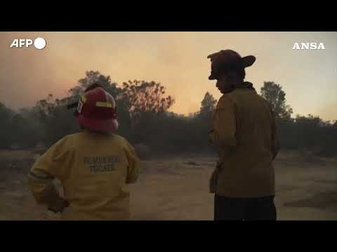 Messico, gli incendi divorano da giorni i boschi della Baja California #ansa #news
