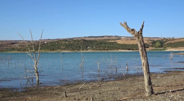Cambiamenti climatici e siccità, l’impatto sull’agricoltura