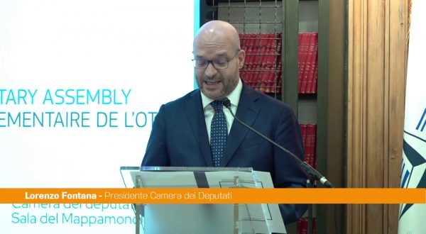 Nato, Fontana “La diplomazia parlamentare è una risorsa per la pace”