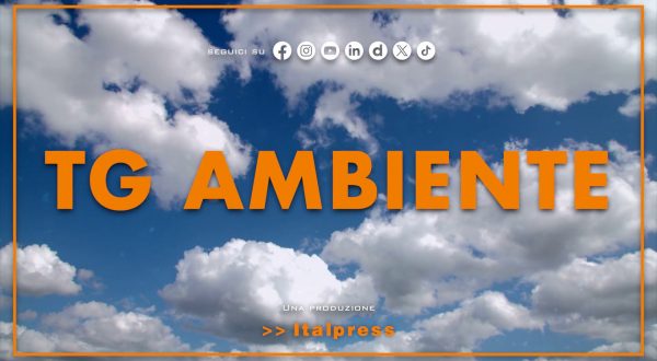 Tg Ambiente – 13/7/2025