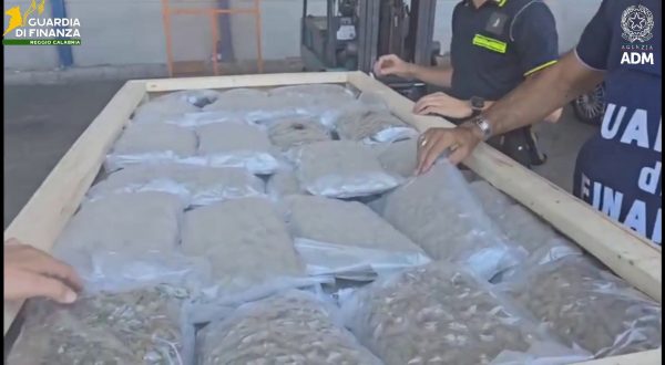 Nel porto di Gioia Tauro sequestrati 1.220 kg di marijuana