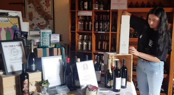 Vino, cresce la produzione in Italia