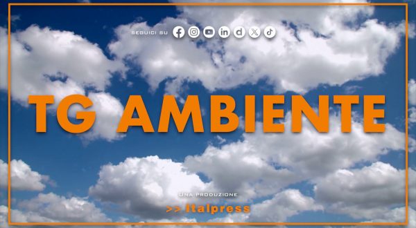 Tg Ambiente – 20/7/2025
