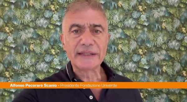 Pecoraro Scanio “Caldo killer, basta con l’inerzia istituzionale”