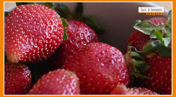 Sorsi di Benessere – Una crema di frutti rossi