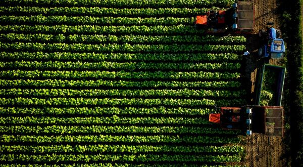 A Verona l’ultima tappa del roadshow Coldiretti-Philip Morris