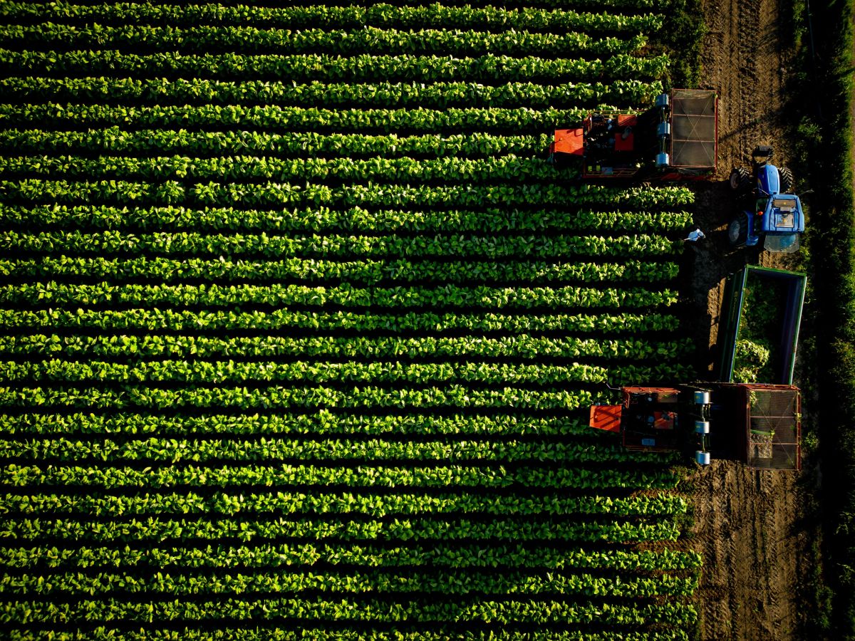 A Verona l’ultima tappa del roadshow Coldiretti-Philip Morris