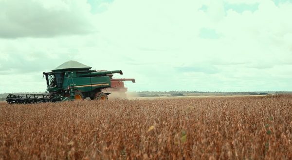 Ue, mercati agricoli resilienti nonostante le incertezze globali