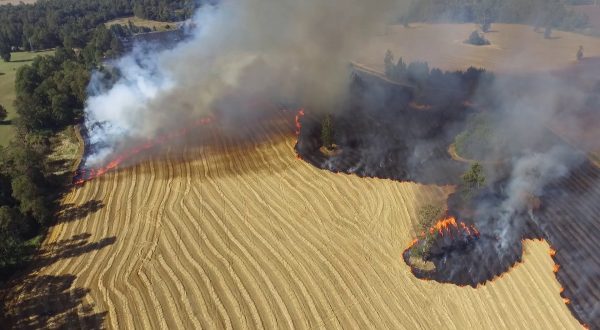 Europa in fiamme, milioni di ettari bruciati
