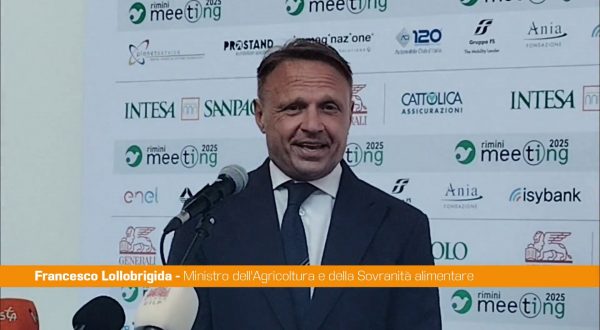 Regionali, Lollobrigida “Troveremo serenamente una sintesi nel cdx”