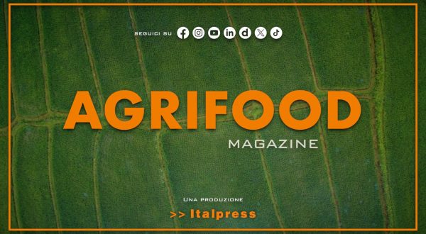 Agrifood Magazine – 20/8/2025