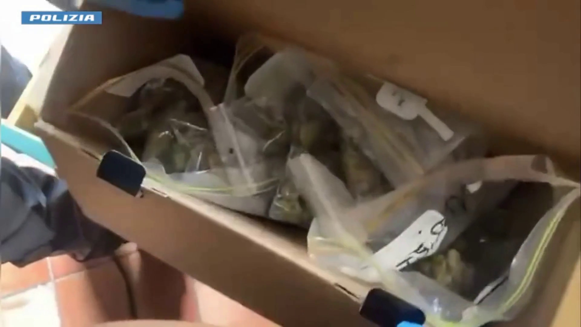 Spaccio in casa con il figlio di un anno, 21enne arrestata a Catania