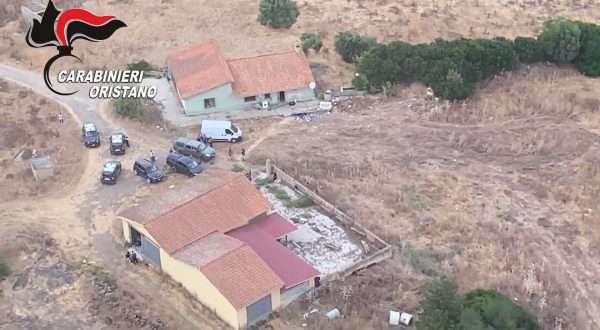Carabinieri scoprono una piantagione di marijuana a Oristano,8 arresti