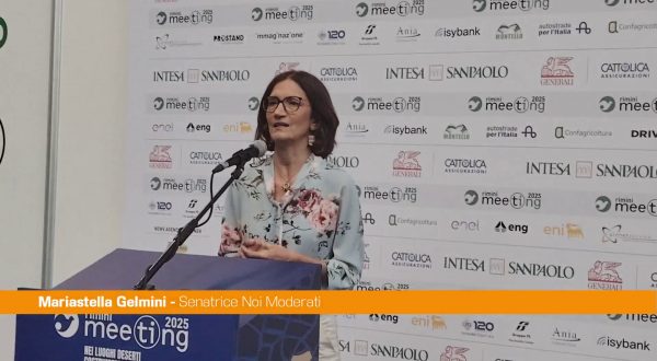 Gelmini “I LEP fondamentali anche senza l’autonomia differenziata”