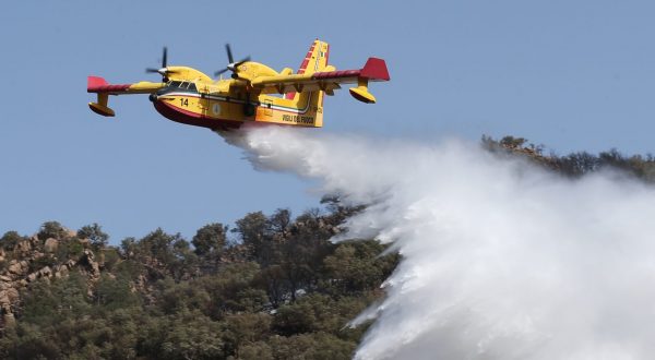 Corpo forestale della Regione Siciliana, via libera a 369 assunzioni