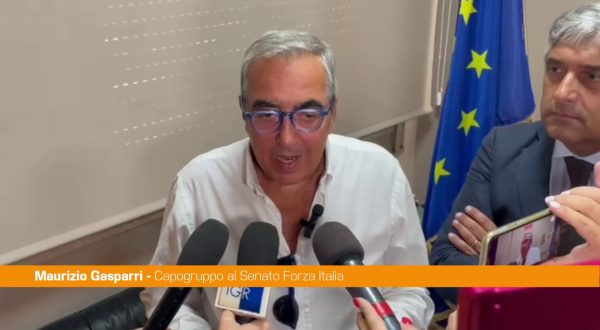 Gasparri “Per Forza Italia la sanità resta una priorità assoluta”
