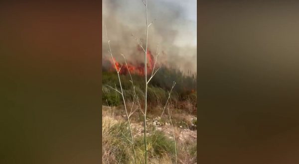Un incendio divampa in un canneto nel ragusano, le immagini
