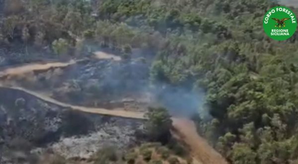 Incendio nell’Agrigentino, in fiamme ettari di bosco su Monte Sara
