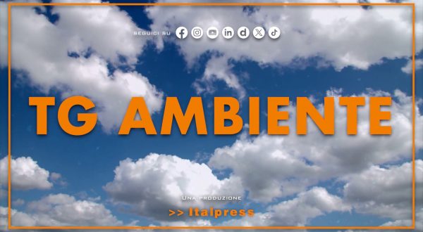 Tg Ambiente – 17/8/2025