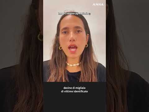 Greta Thunberg, pronti a partire per Gaza con una flottiglia internazionale #ansa  #news