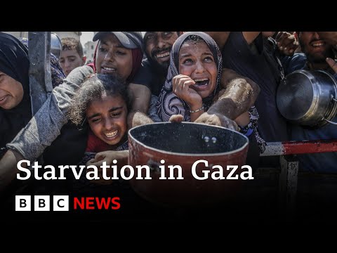 Israel blocking aid into Gaza, humanitarian agencies say | BBC News