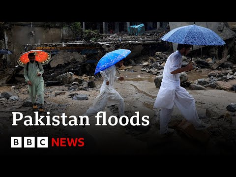 More than 330 dead in Pakistan floods | BBC News