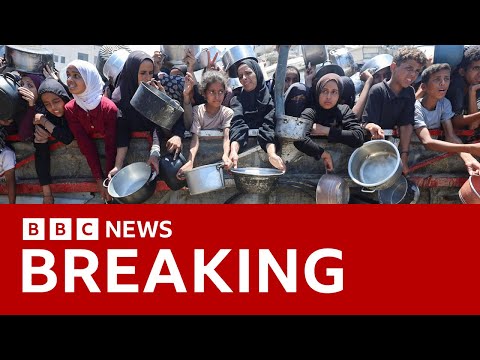 Famine confirmed in Gaza City for first time, UN-backed report says | BBC News