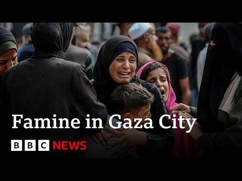 UN-backed report confirms famine in Gaza City | BBC News