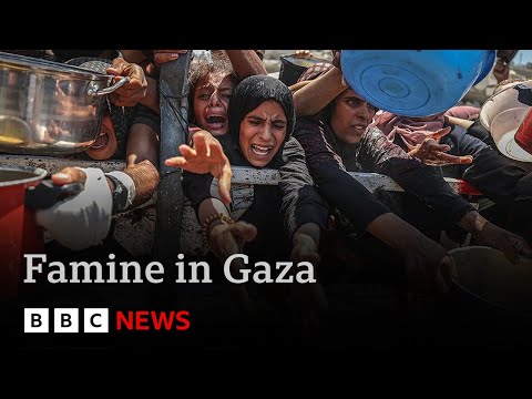 Famine in Gaza is “failure of humanity” says United Nations | BBC News