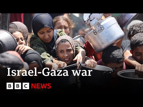 Famine in Gaza ‘manmade crisis’ says statement by all UN Security Council members but US | BBC News