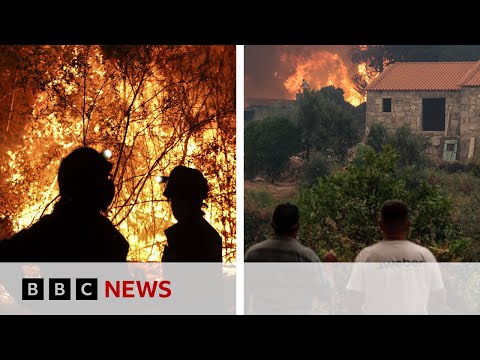 Spain and Portugal wildfires drive worst EU season on record | BBC News