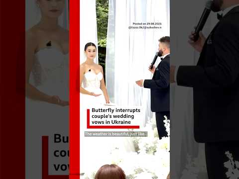 Butterfly interrupts couple’s wedding vows in Ukraine. #WeddingVows #Wedding #BBCNews