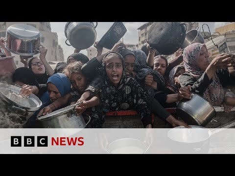 Israel’s plans to expand Gaza operation ‘deeply alarming’, UN official says | BBC News