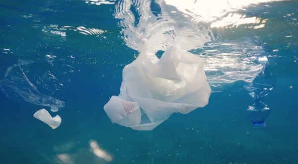Goletta Verde, mari sempre più caldi e inquinati