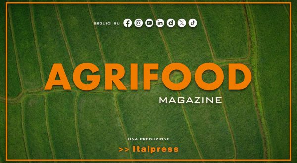 Agrifood Magazine – 27/8/2025