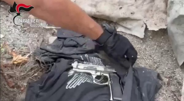 Piantagione di marijuana e deposito di armi sequestrati nel Reggino