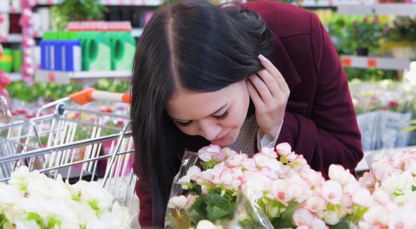 Florovivaismo italiano, 2024 da record