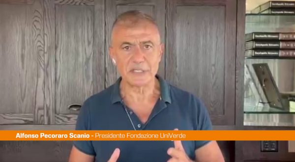 Vesuvio, Pecoraro Scanio “Danni gravi, punire responsabili dei roghi”