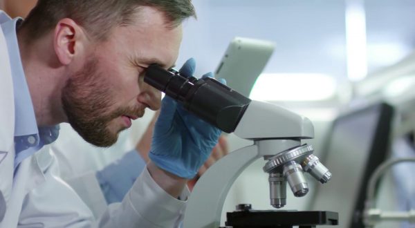 Nel mondo oltre 300 milioni di individui soffrono di epatite cronica