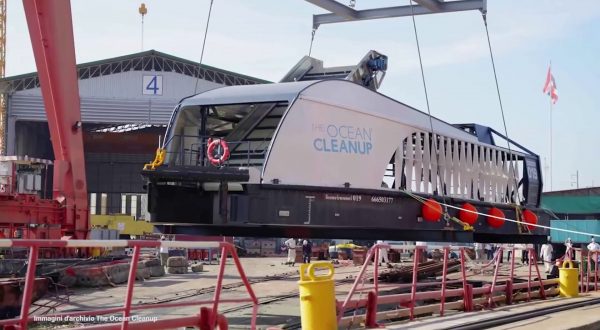 Intelligenza artificiale e cloud per salvare gli oceani