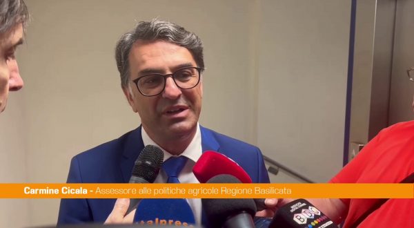 In Basilicata finanziate nuove imprese agricole condotte da giovani