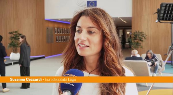 Ceccardi “Ue spende 42 mln ma non sa proteggere aereo von der Leyen”