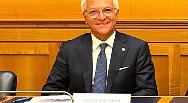 Università, Catania (FNO TSRM e PSTRP) “Nostre professioni in tenuta”