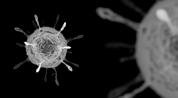 Uno studio definisce l’intervallo ottimale tra le dosi vaccinali