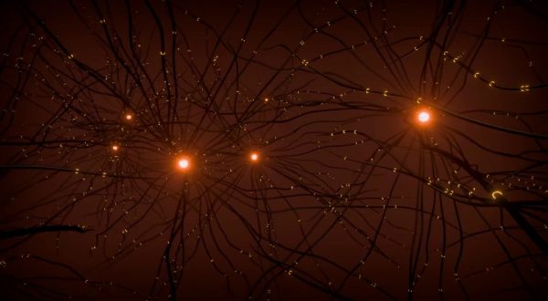 Nuove terapie più efficaci contro il Parkinson