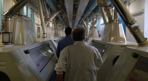 Divella, lo storico molino di Noicattaro punta sulla tecnologia